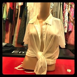 Jazzie Shear Sparkle Blouse